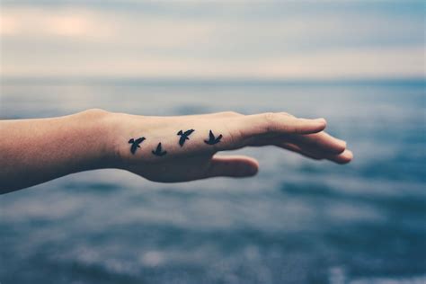 Dieser pinnwand folgen 361 nutzer auf pinterest. Tattoo-Pflege • Diese Tipps unterstützen die Heilung!