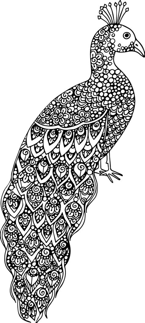 Complex Coloring Pages For Teens And Adults Best
