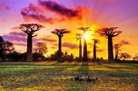 Guide à Madagascar : guide touristique pour visiter Madagascar et ...