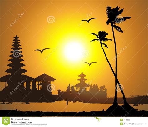 Tropical Sunset Palm Tree Silhouette Stock Photos Image