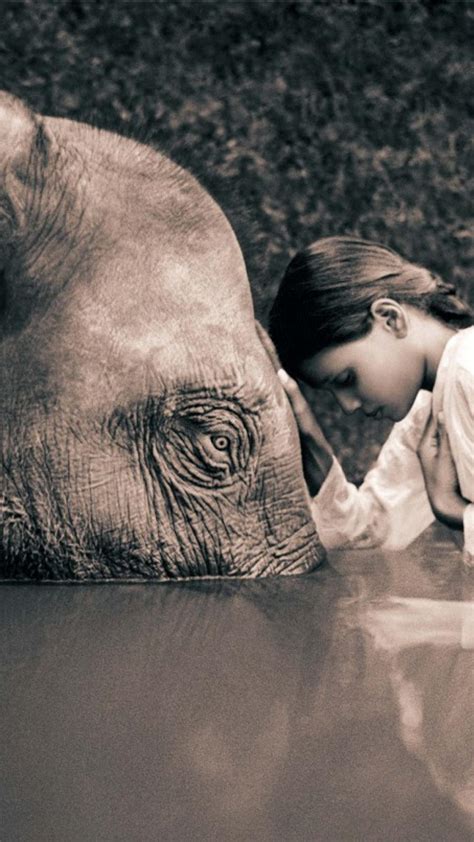 Sepia Elephants Children Gregory Colbert Ashes And Snow