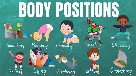 Body Positions English Vocabulary With Pictures Pictionary Listen
