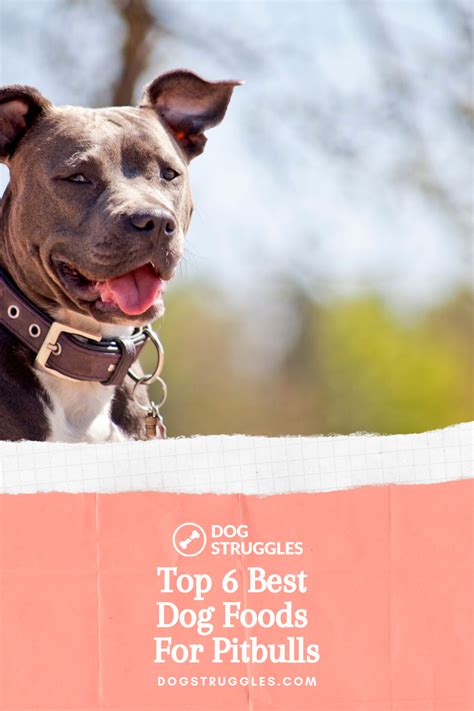 Easily digestible and great for allergies. Top 6 Best Dog Foods for Pitbulls (With images) | Best dog ...