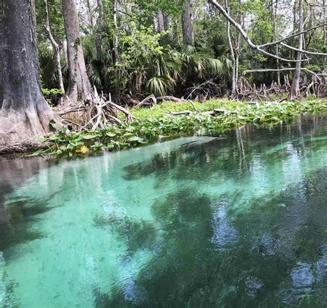 Kayaking Silver Springs: Exquisite paddling trail is ...