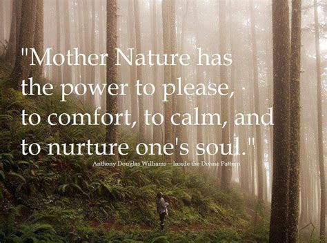 Pin By The Barefoot Traveler On Quotes I Love Mother Nature Quotes