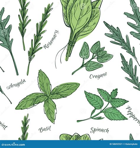 Hand Drawn Vector Seamless Pattern With Herbs And Spices Stock Vector