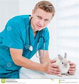 Photos of Rabbit Doctor