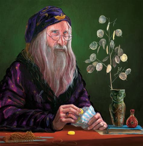 Albus Dumbledore Harry Potter Books Wiki Fandom