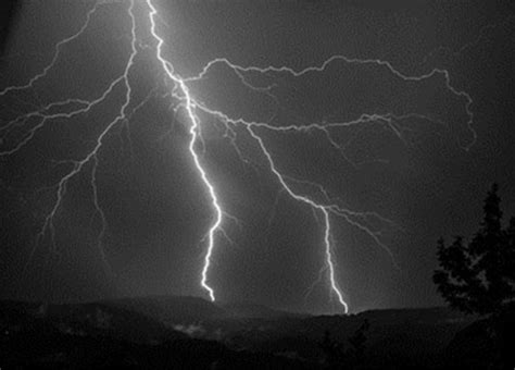 Weathering A Storm How To Survive When Lightning Strikes