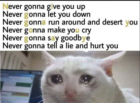 Does Anyone Have Any Crying Cat Images Like In This Meme