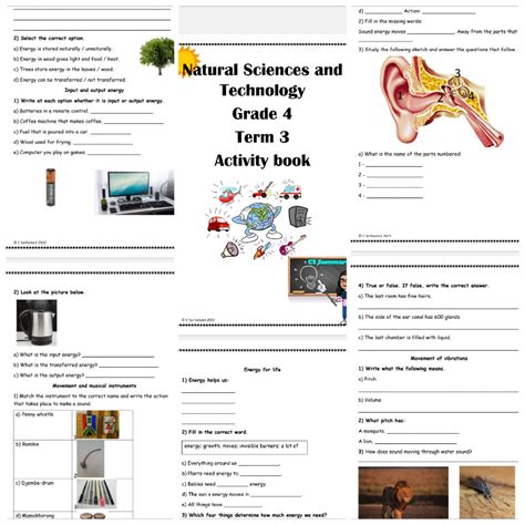 Natural Science And Technology Grade 4 Term 3 Activity Book Teacha