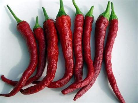 Buy Kashmiri Chilli Pepper Seedcapsicum Annuum Mild Heat Online