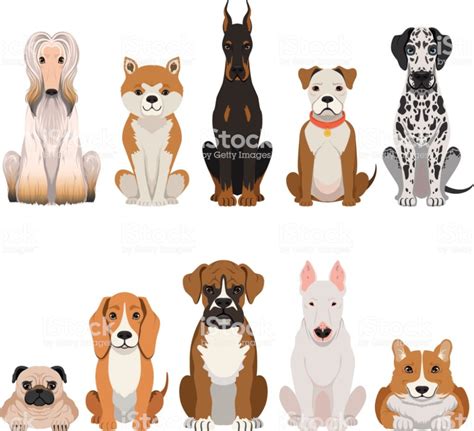 Funny Dogs Illustrations In Cartoon Style Domestic Pets Animal Dog