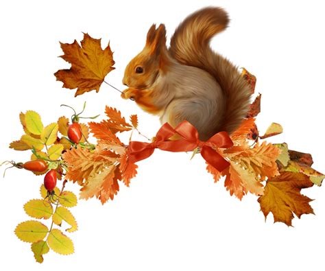 Clipart Squirrel Autum Clipart Squirrel Autum Transparent Free For