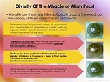 The Miracle of Allah Pearl