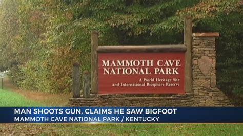Gunshot Fired At Mammoth Cave Campsite Following Alleged Bigfoot