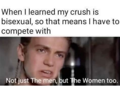 The Best Bisexual Memes Memedroid