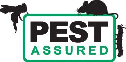 Contact Us Pest Assured Pest Control For Bishop S Stortford Rats Fleas Bugs Vermin