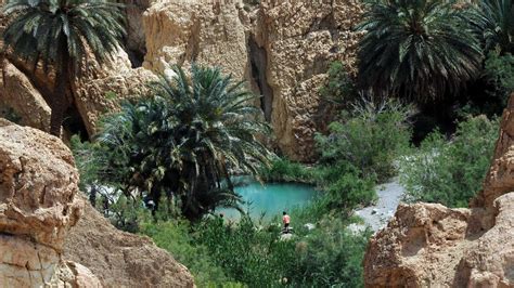 Tunisian Oasis Attracts Tourists Al Arabiya English