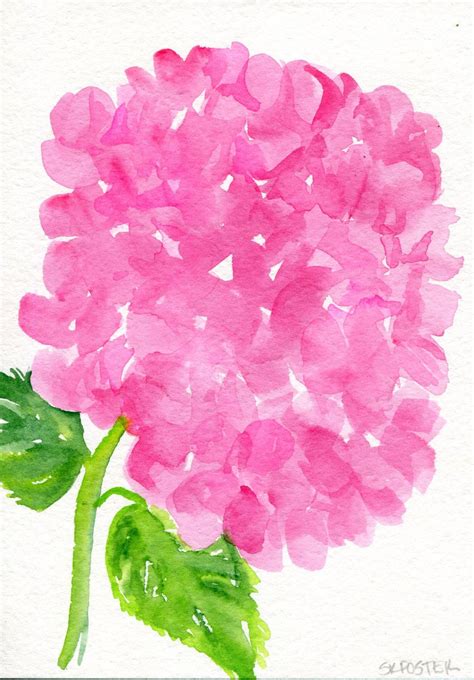 Pink Hydrangeas Original Watercolor Painting 5x 7 Hydrangea Floral Art