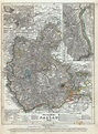 Herzogthum Nassau.: Geographicus Rare Antique Maps