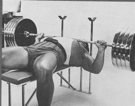 Amateur videos can be viewed online or downloaded completely free. The Pyramid Training Program. By John Bubb, former NABBA ...