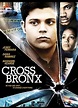 Cross Bronx - Seriebox