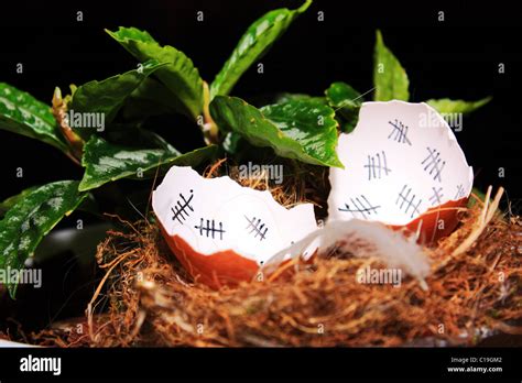 Countdown to Freedom Stock Photo - Alamy