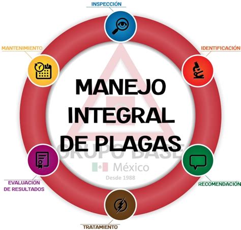AGROACADEMICOSMY Manejo Integrado De Plagas 35088 The Best Porn Website