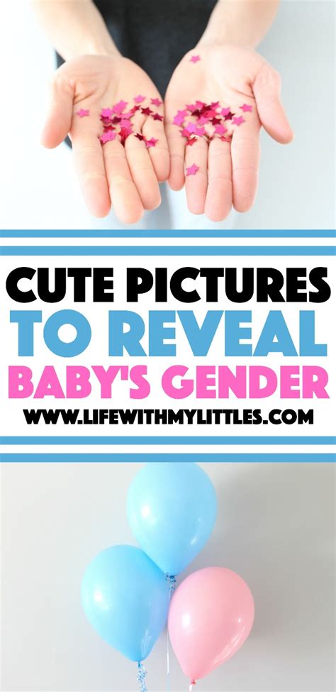 7 Cute Pictures To Reveal Babys Gender