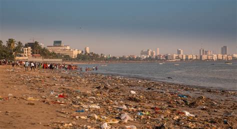 Mumbai Societies Failing To Segregate Waste To Face Penalties