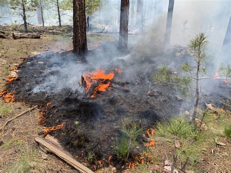 Illegal Campfires Persist Despite Bans Throughout Arizona KNAU Arizona Public Radio