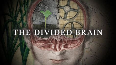 The Divided Brain Trailer 2018 Youtube