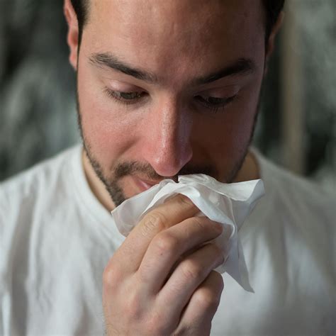 Harmful Effects of Molds on Allergy-Sensitive People - SuperDry