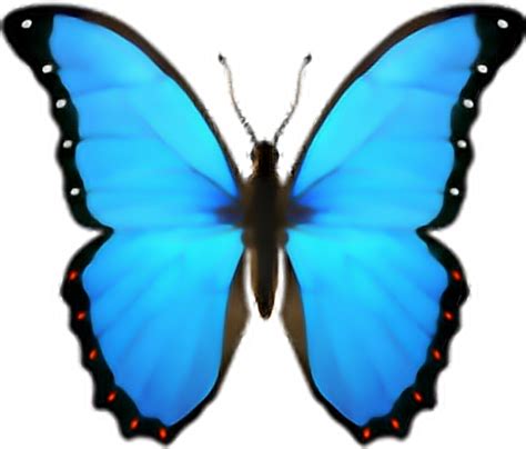 Butterfly Emoji Domain Iphone Ios Butterfly Png Download 572488