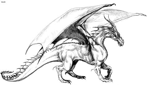 Real Dragon Coloring Pages Coloring Pages