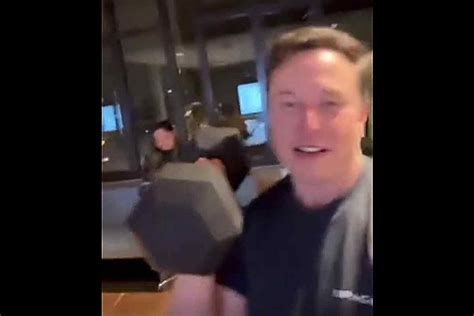 La Pelea En Jaula Entre Elon Musk Y Mark Zuckerberg Se Vuelve Una Guerra De Palabras Somosfan