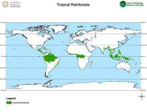 What is a tropical rainforest? Tropical rainforest biomes (article) | Khan Academy