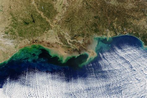 The Biggest Ever Dead Zone In The Gulf Of Mexico Is The Size Of New