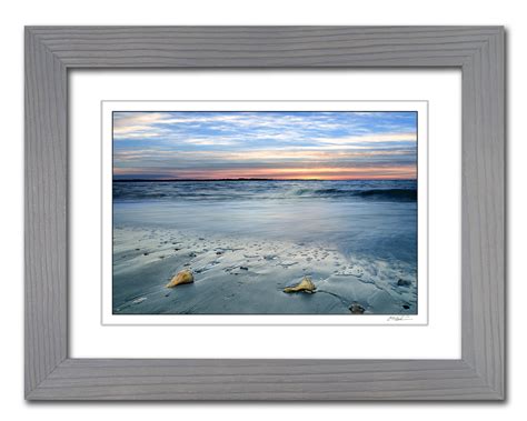 Framed Topsail North Carolina Conch Shells Photography Print