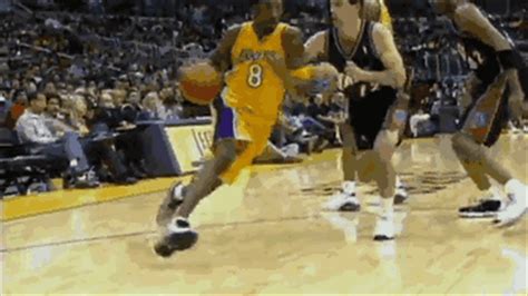 Limit my search to r/lakers. los angeles lakers kobe bryant gif | WiffleGif