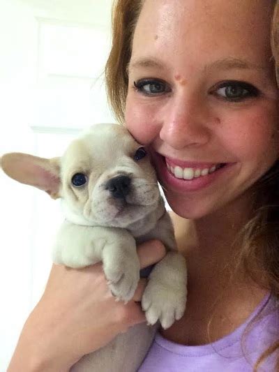 Browse french bulldog puppies for sale from 5 star breeders with uptown puppies. French Bulldog Puppies for sale English Bulldog Puppies ...