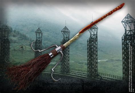 Harry Potter Broom Nimbus 2001