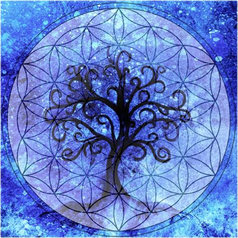 The Tree Of Life Meaning And Symbolism Insight State