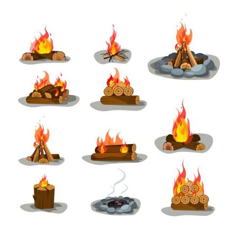Different Types Of Firewood And Logs In Various Stages Of Burning Set