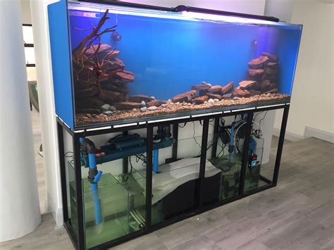 Custom Fish Tank Images Gallery