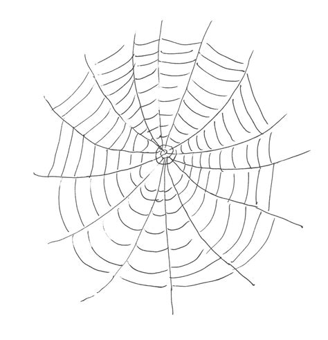 Printable Spider Web Coloring Pages For Kids Cool2bkids Free