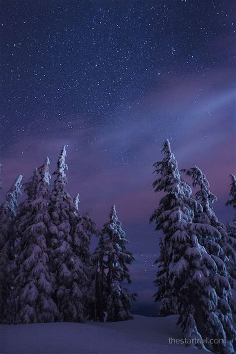 Brisk Starry Night In Winter Nature Unspoiled