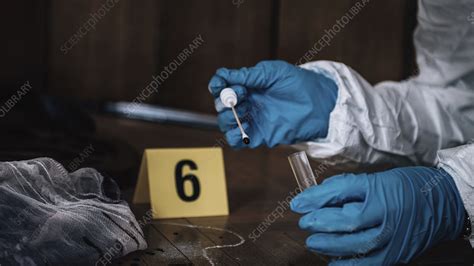 Crime Scene Investigation Stock Image F0243759 Science Photo Library