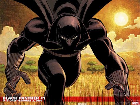 Black Panther Hd Wallpaper Anime Wallpaper Better